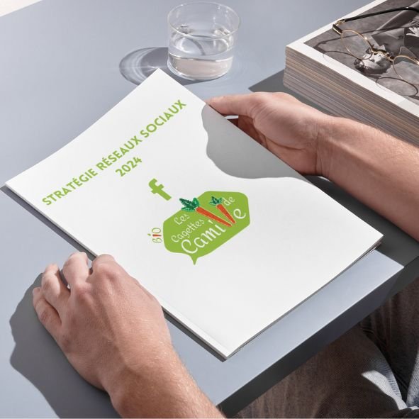 Les cagettes de Camille : Proposition d’une stratégie d’influence et d’une Newsletter pour la page Facebook de l’enseigne. Les cagettes de Camille : Proposition d’une stratégie d’influence et d’une Newsletter pour la page Facebook de l’enseigne.