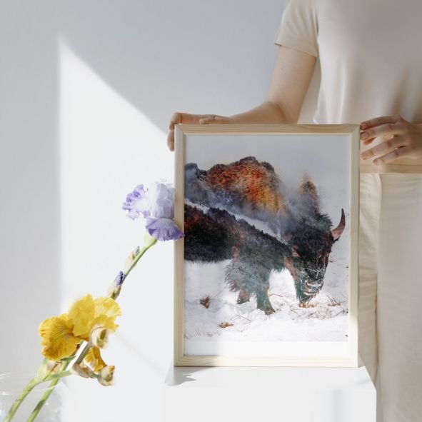 Bison & montagne : filtres et modes de fusion Bison & montagne : filtres et modes de fusion